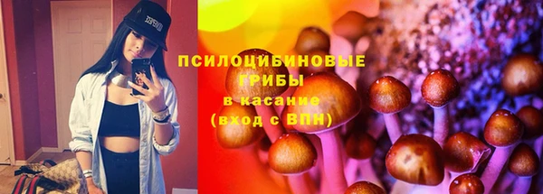 стаф Армянск