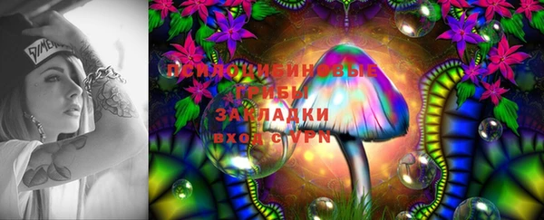 PSILOCYBIN Арсеньев